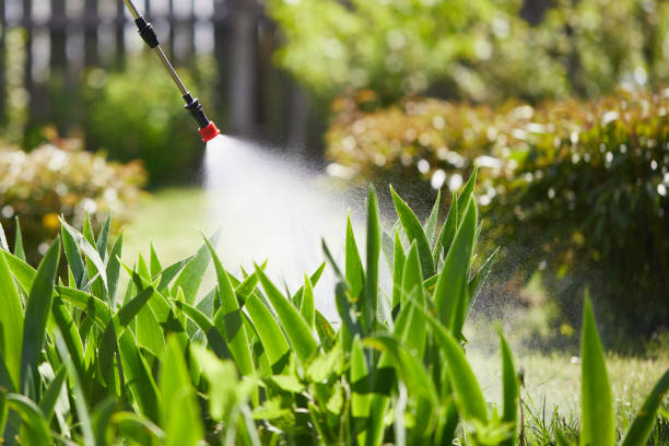 Tamper-Resistant Bait Stations for Rodents in Big Timber