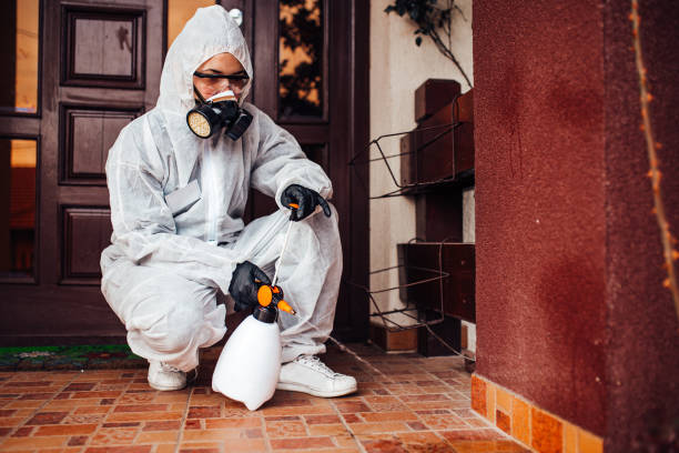 Attic and Crawl Space Rodent Treatment in Big Timber