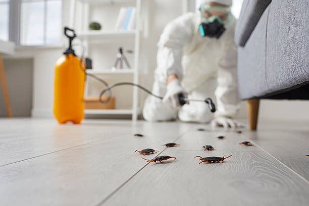 Commercial Rodent Management in Big Timber